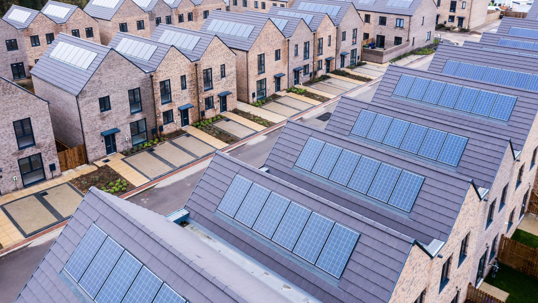 Solar Together survey