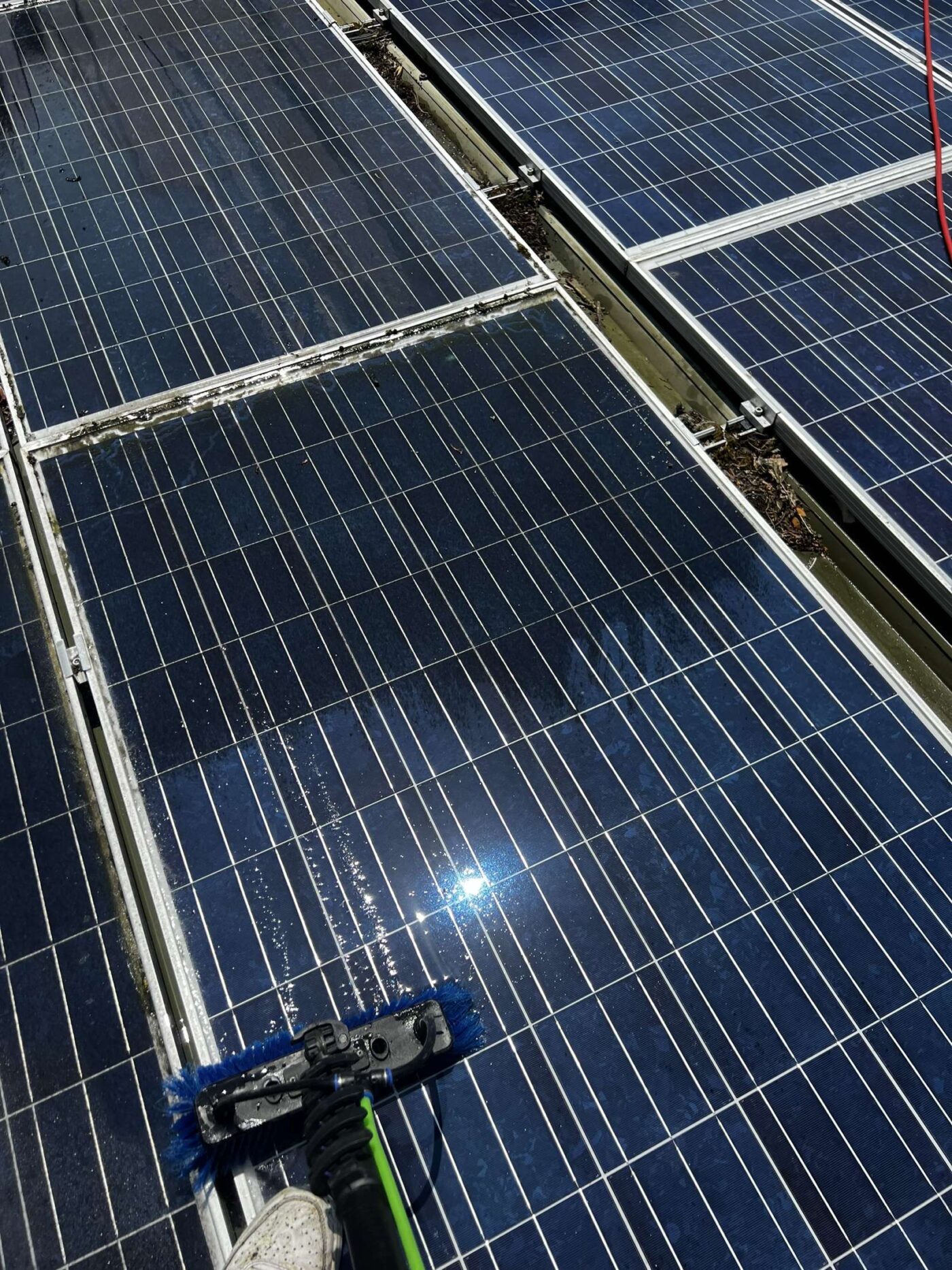 Solar PV Panel Clean Maidstone